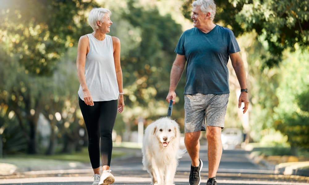 A smiling couple walks their dog while talking about wealth management
