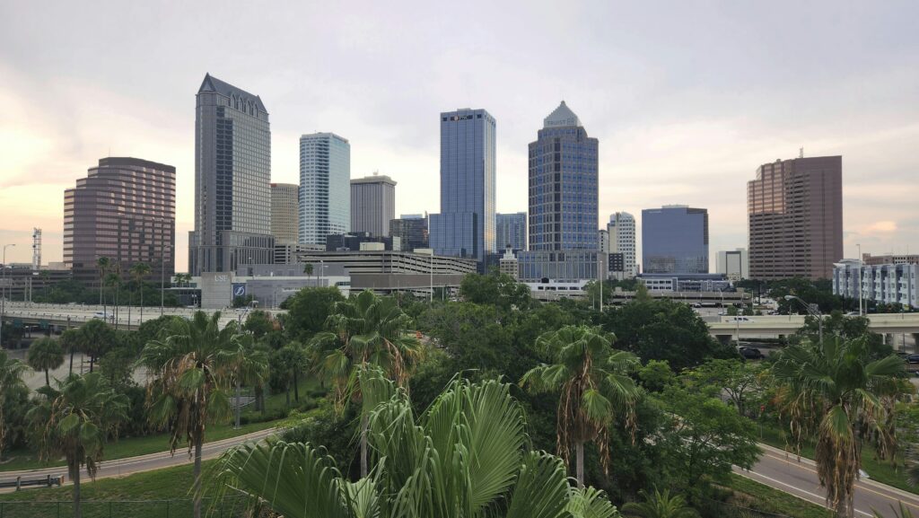 Wealth Management // Tampa, FL